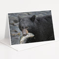A black bear holding a fish in its mouth, standing in a rocky area.