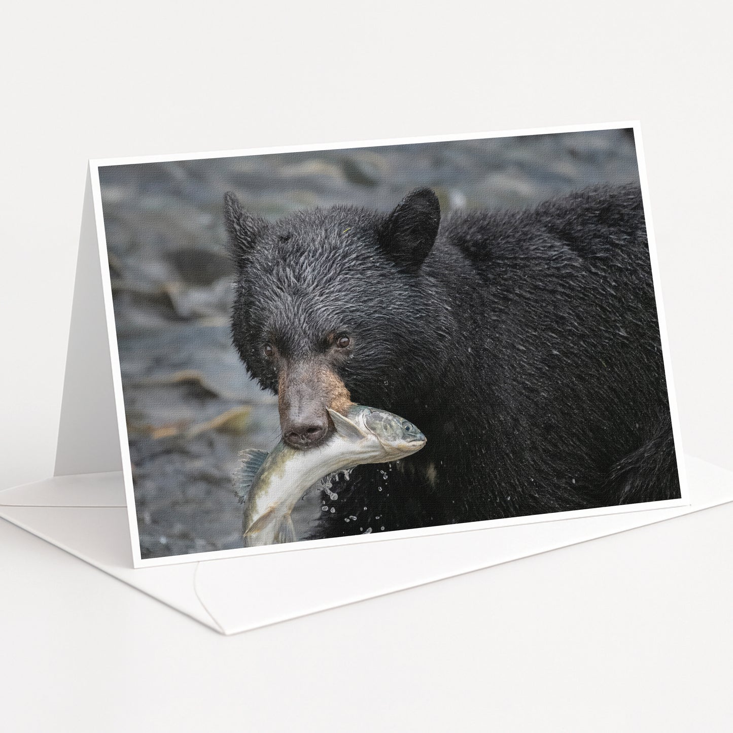 A black bear holding a fish in its mouth, standing in a rocky area.