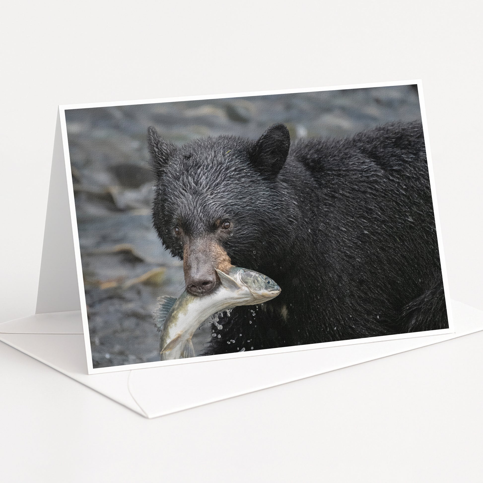 A black bear holding a fish in its mouth, standing in a rocky area.