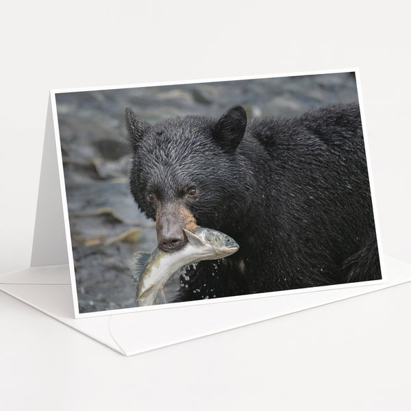 A black bear holding a fish in its mouth, standing in a rocky area.