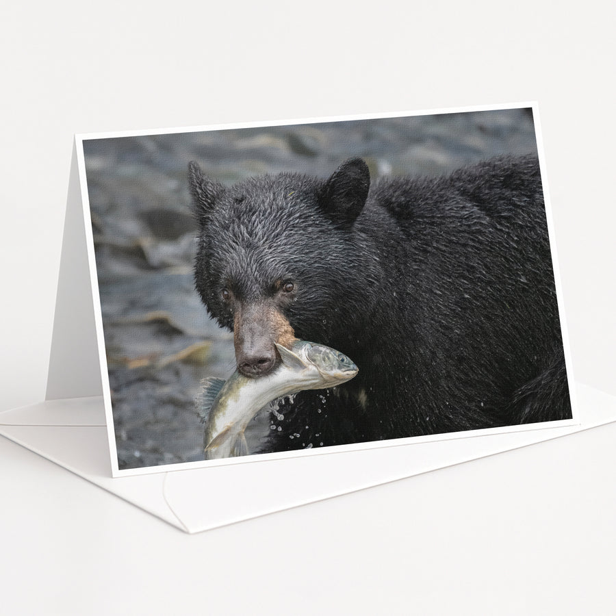 A black bear holding a fish in its mouth, standing in a rocky area.