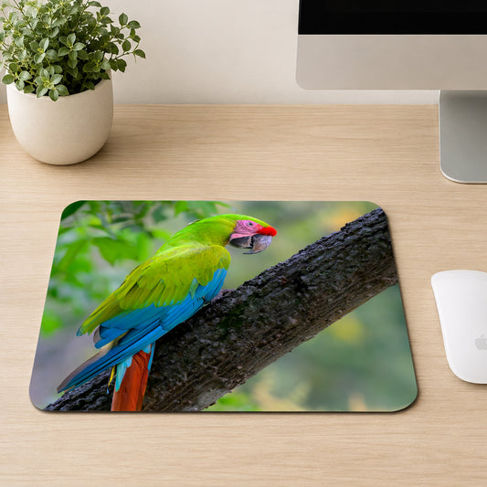 Great Green Macaw with red forehead, green body, and blue tail feathers perched on a mossy branch, printed on a mouse pad