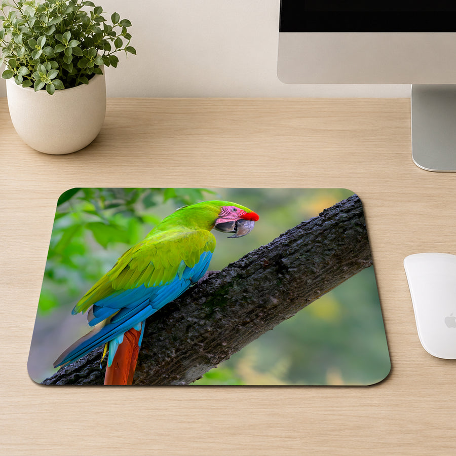 Great Green Macaw with red forehead, green body, and blue tail feathers perched on a mossy branch, printed on a mouse pad