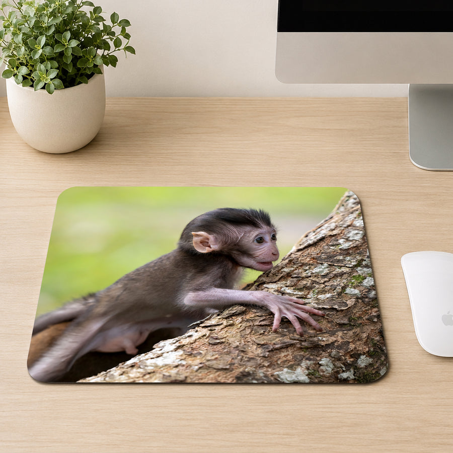Baby monkey with large ears and dark fuzzy hair climbing tree bark against a green forest background, printed on a mouse pad