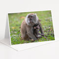 A mother monkey and her baby resting together in a grassy area.