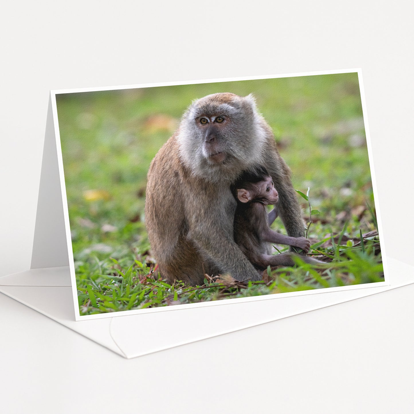 A mother monkey and her baby resting together in a grassy area.