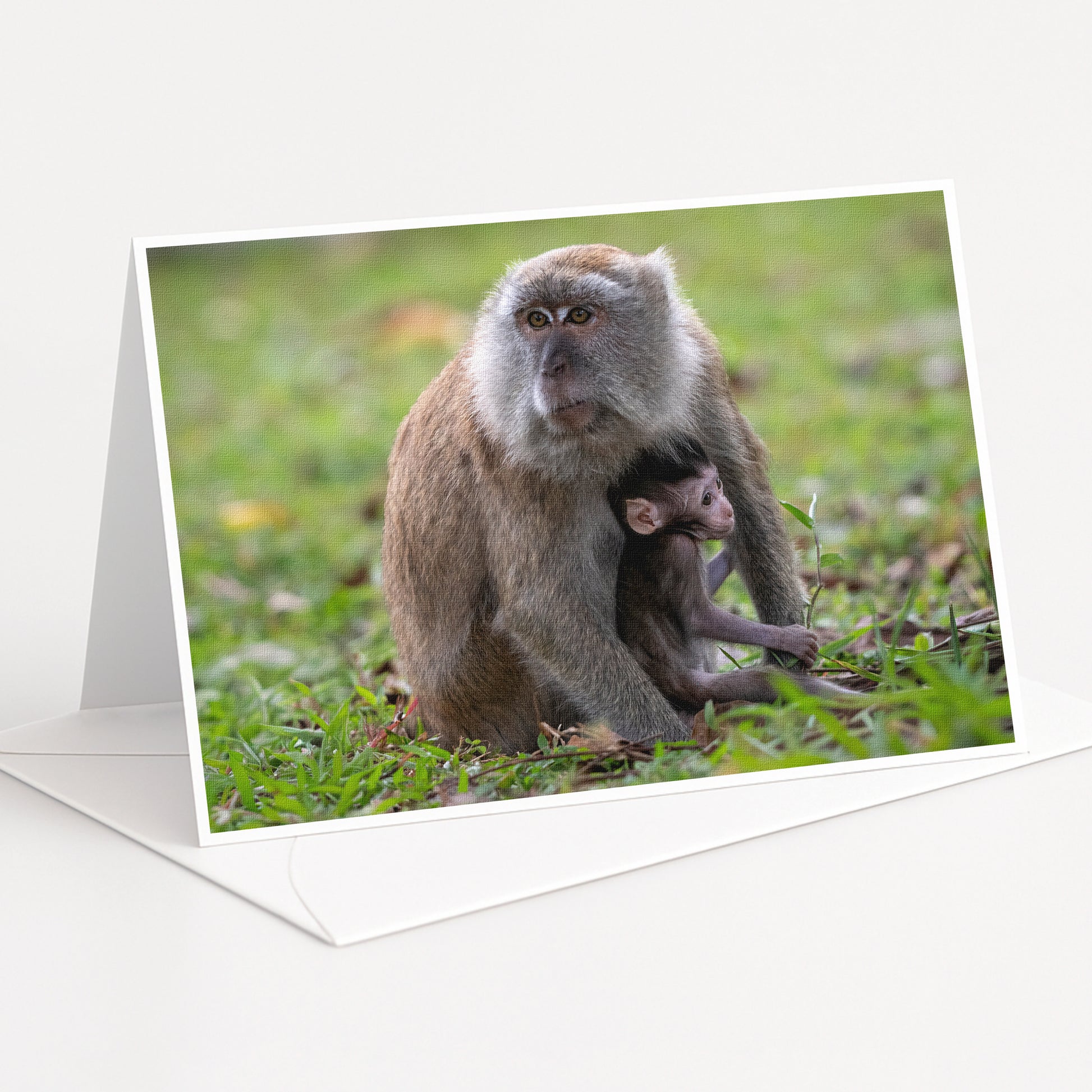 A mother monkey and her baby resting together in a grassy area.