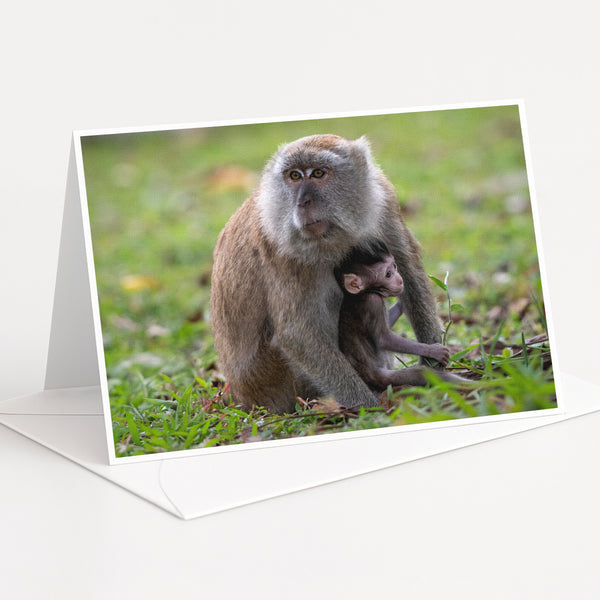 A mother monkey and her baby resting together in a grassy area.