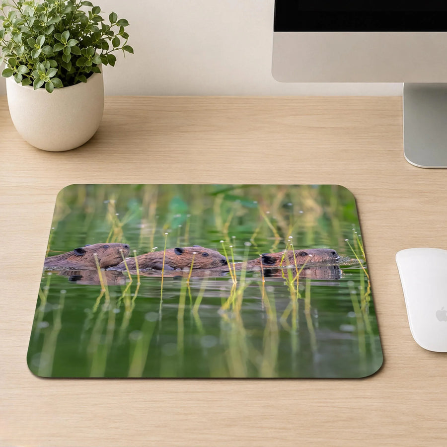 Three beavers swimming in a line through green marsh grass on calm water, printed on a mouse pad