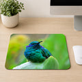 Lesser Violetear hummingbird with iridescent blue and green feathers perched on a raindrop covered leaf, printed on a mouse pad