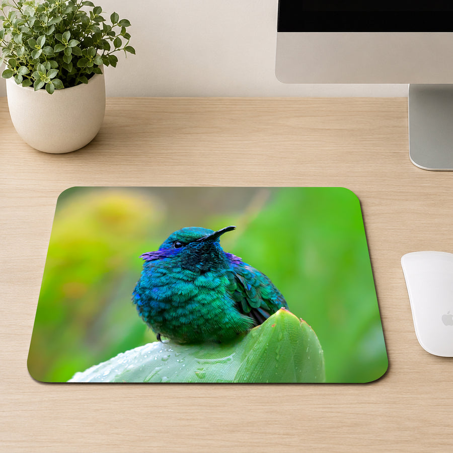 Lesser Violetear hummingbird with iridescent blue and green feathers perched on a raindrop covered leaf, printed on a mouse pad