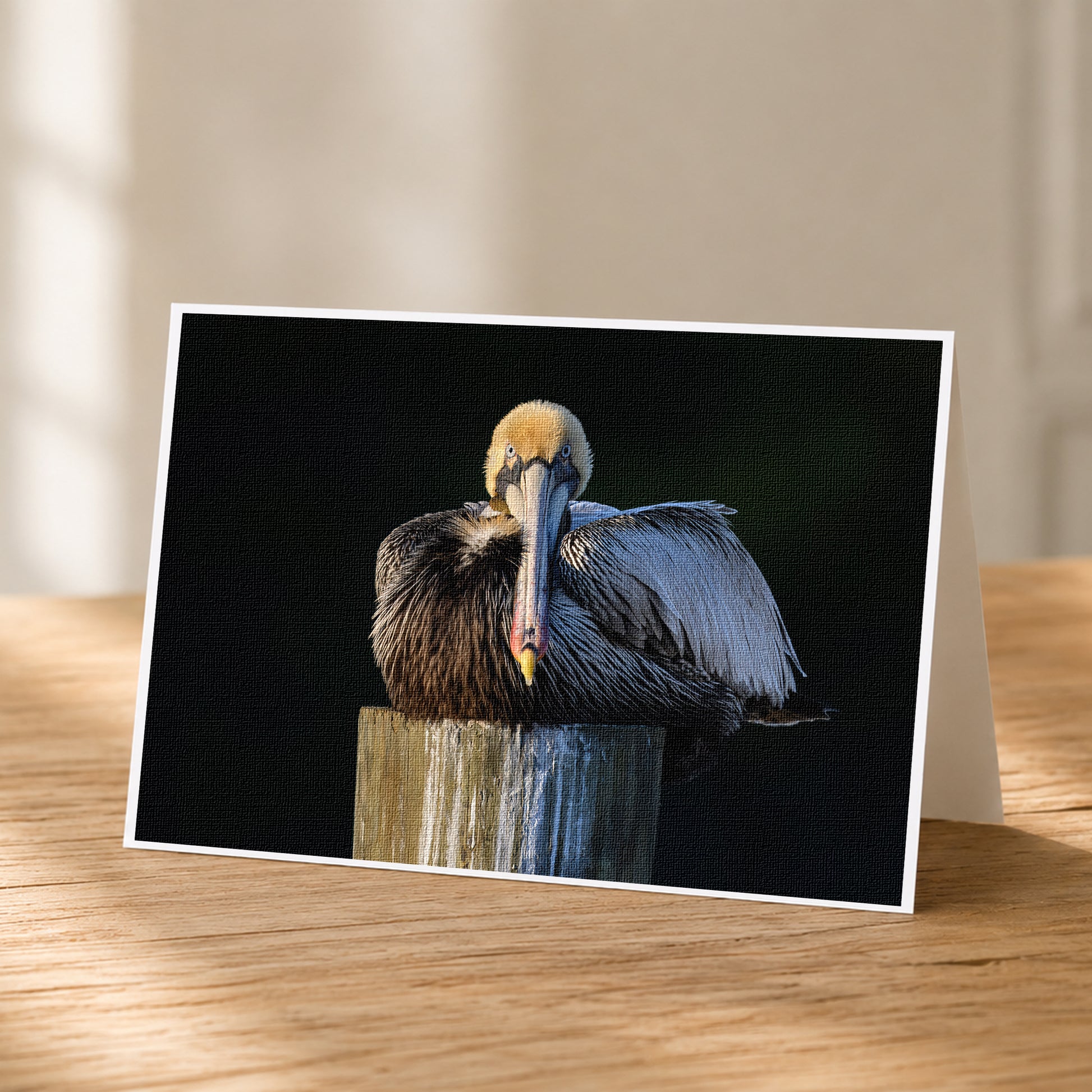 A pelican is sitting on a wooden post, with its head turned to the side.