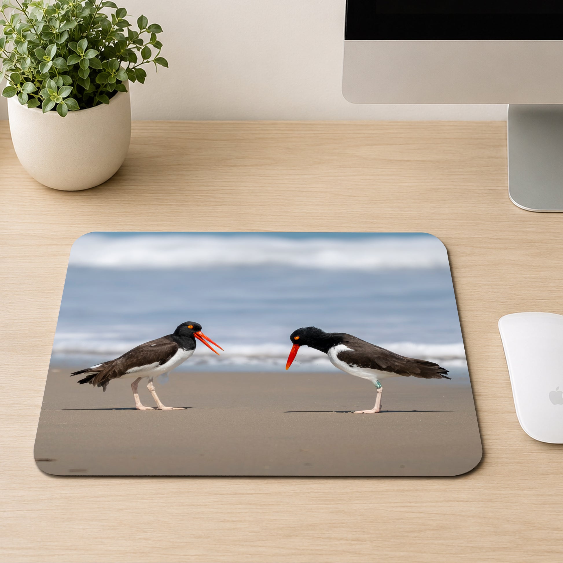 Two American oystercatchers with orange bills facing each other on a beach, printed on a mouse pad