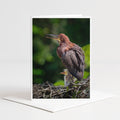 A mother bird with her baby bird perched on a nest in a natural setting.