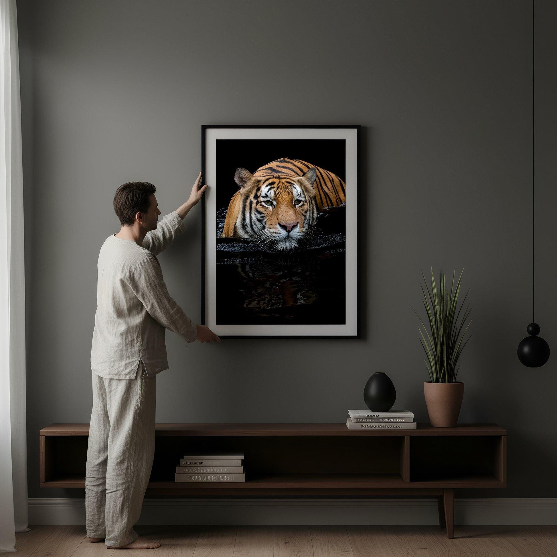 A man is hanging a framed photograph of a tiger on a wall in a living room.