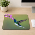 White-necked Jacobin hummingbird in flight feeding from purple flowers on a mouse pad