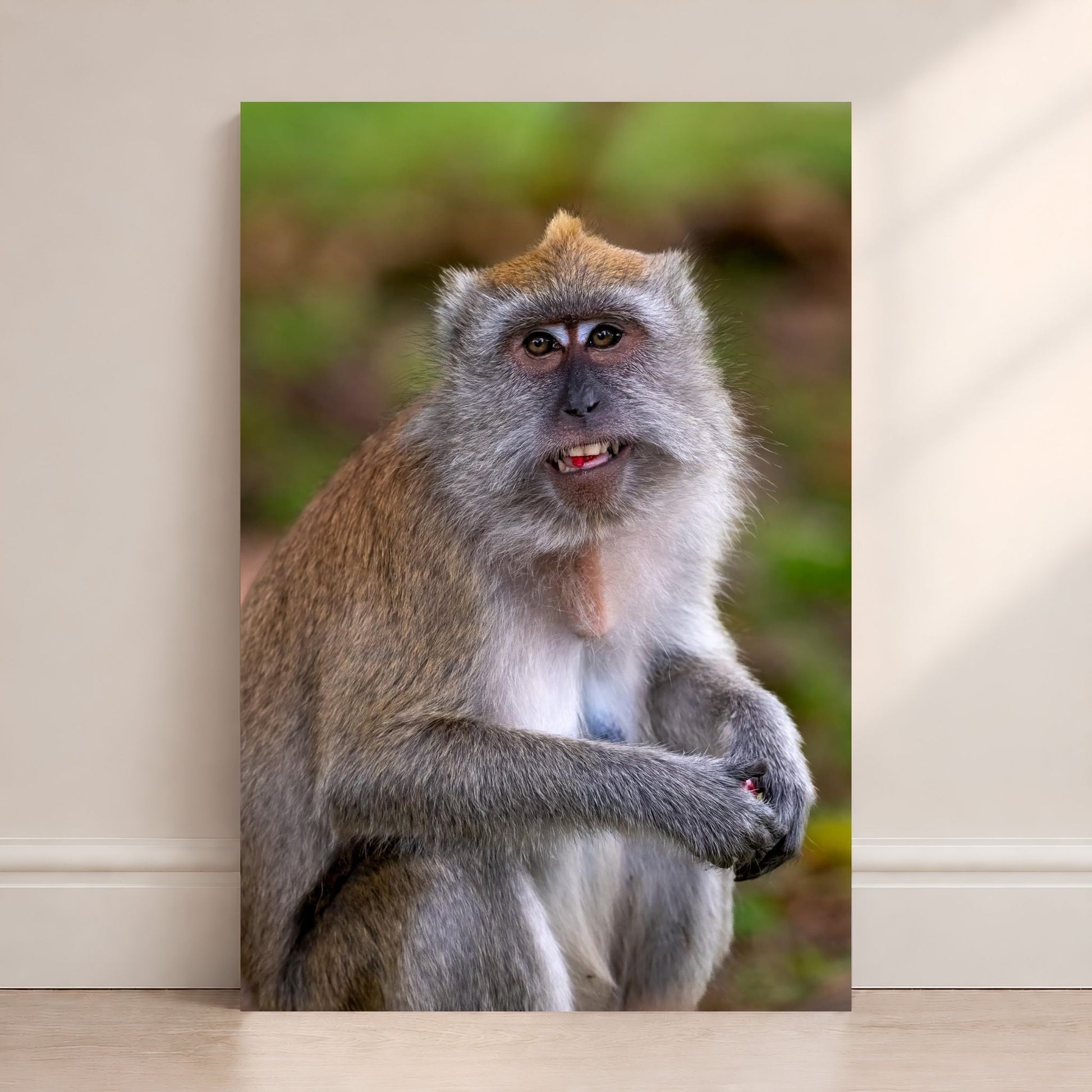 Adult Long-tailed Macaque portrait fine art metal photography print, Singapore wildlife wall art by Linda Nee