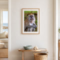 Adult Long-tailed Macaque portrait framed in coastal entryway, Singapore wildlife photography for living rooms and travel decor