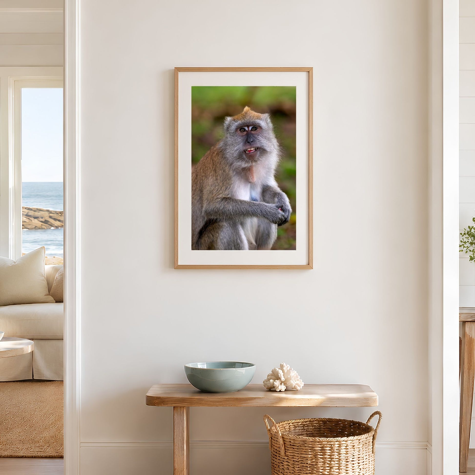 Adult Long-tailed Macaque portrait framed in coastal entryway, Singapore wildlife photography for living rooms and travel decor