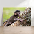 Baby Long-tailed Macaque fine art print framed above crib in sage green nursery, Singapore wildlife photography for nursery wall art