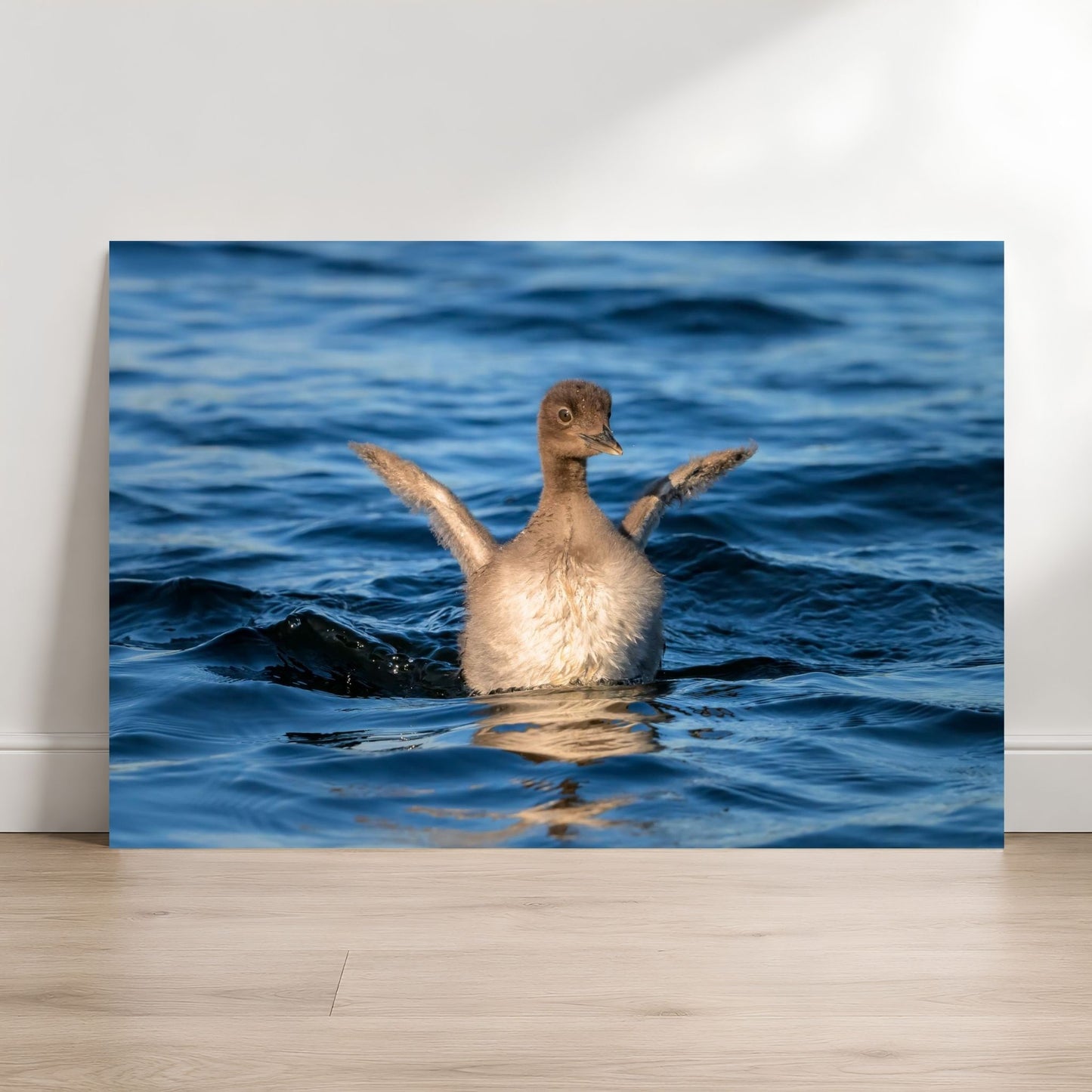 Baby loon chick fine art photography print leaning against a white wall on a light wood floor
