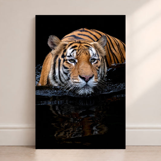 Bengal tiger resting in dark water with its face reflected below, set against a dramatic black background