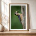 Framed artwork of a bird on a branch in a home setting
