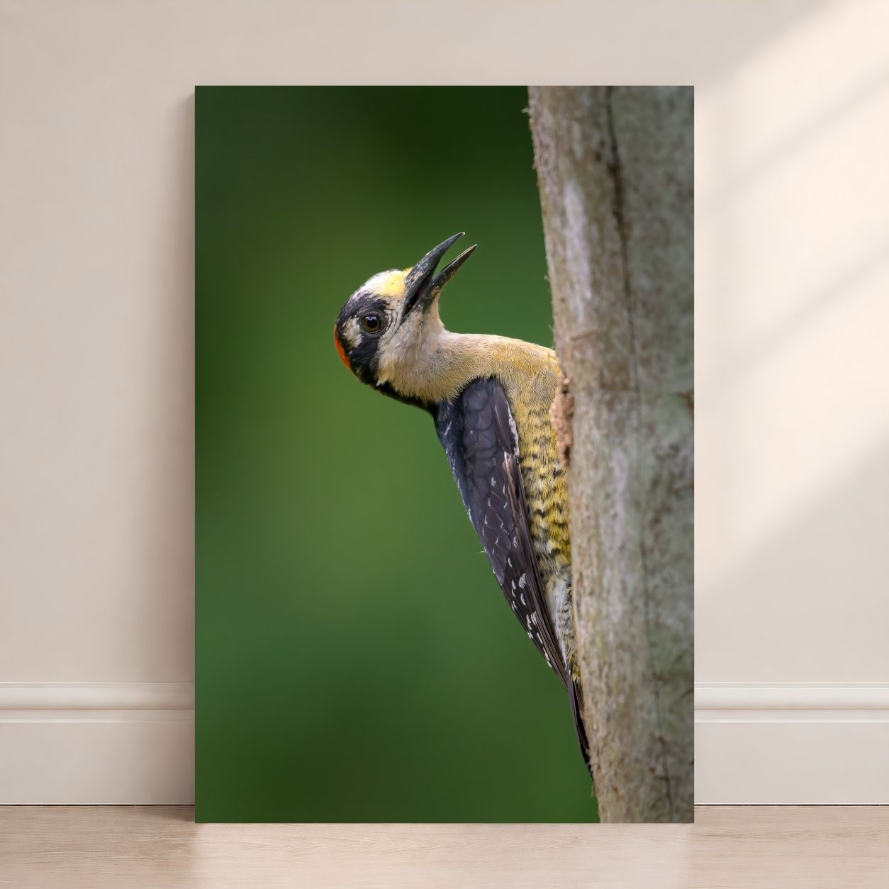 Woodpecker on a tree trunk with a green background