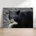 Black bear holding a fish in its mouth with a natural background