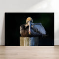 Large framed photograph of a pelican on a dark background