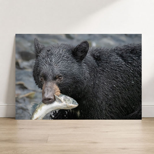 Caviar, it's what's for Dinner
