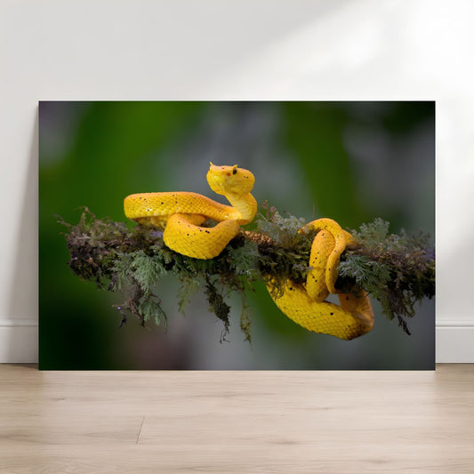Yellow snake on a branch with a blurred green background