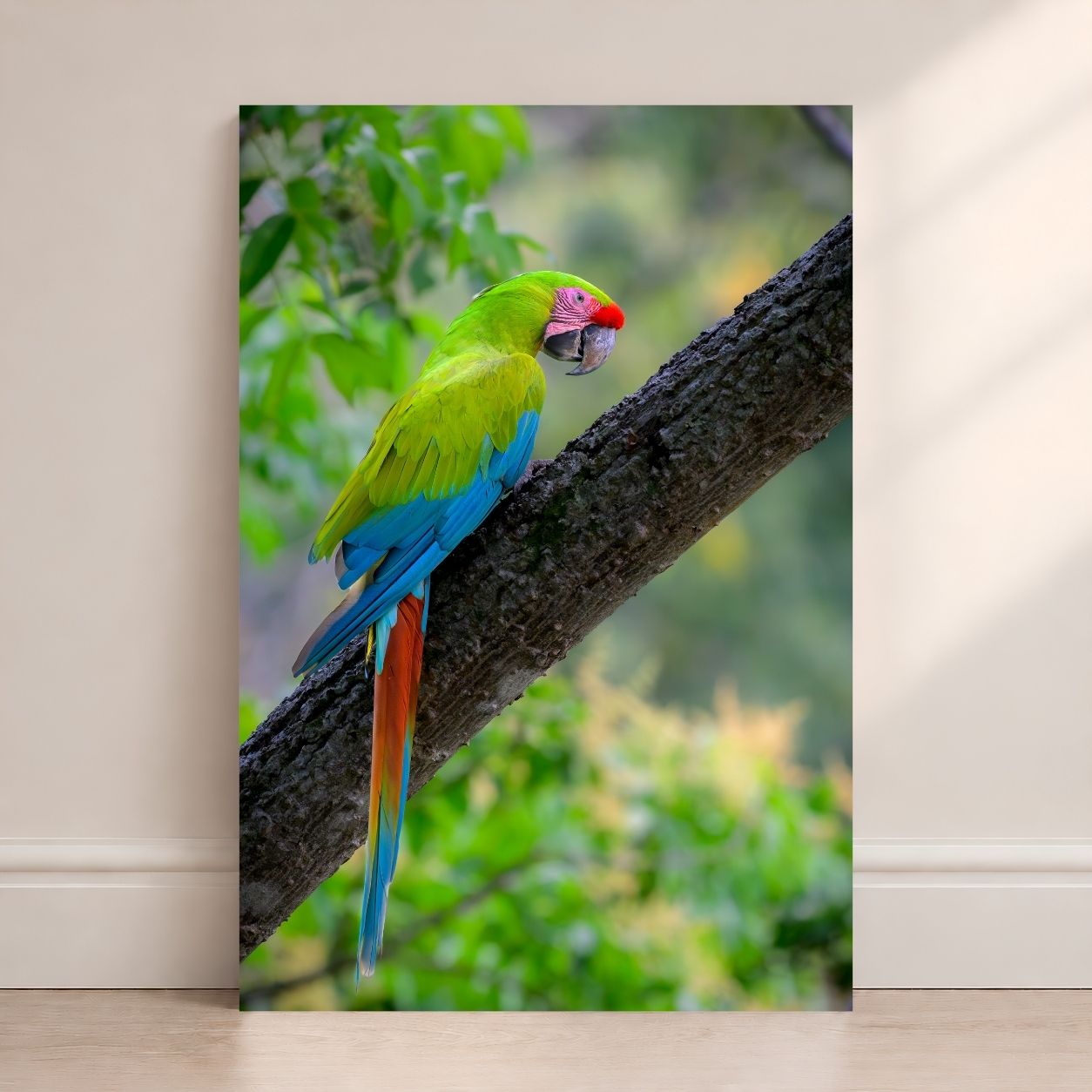Colorful parrot perched on a branch with a natural background