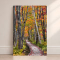 Wooden boardwalk through a colorful autumn forest in Acadia, surrounded by birch trees, ferns, and bright red, orange, and yellow fall leaves