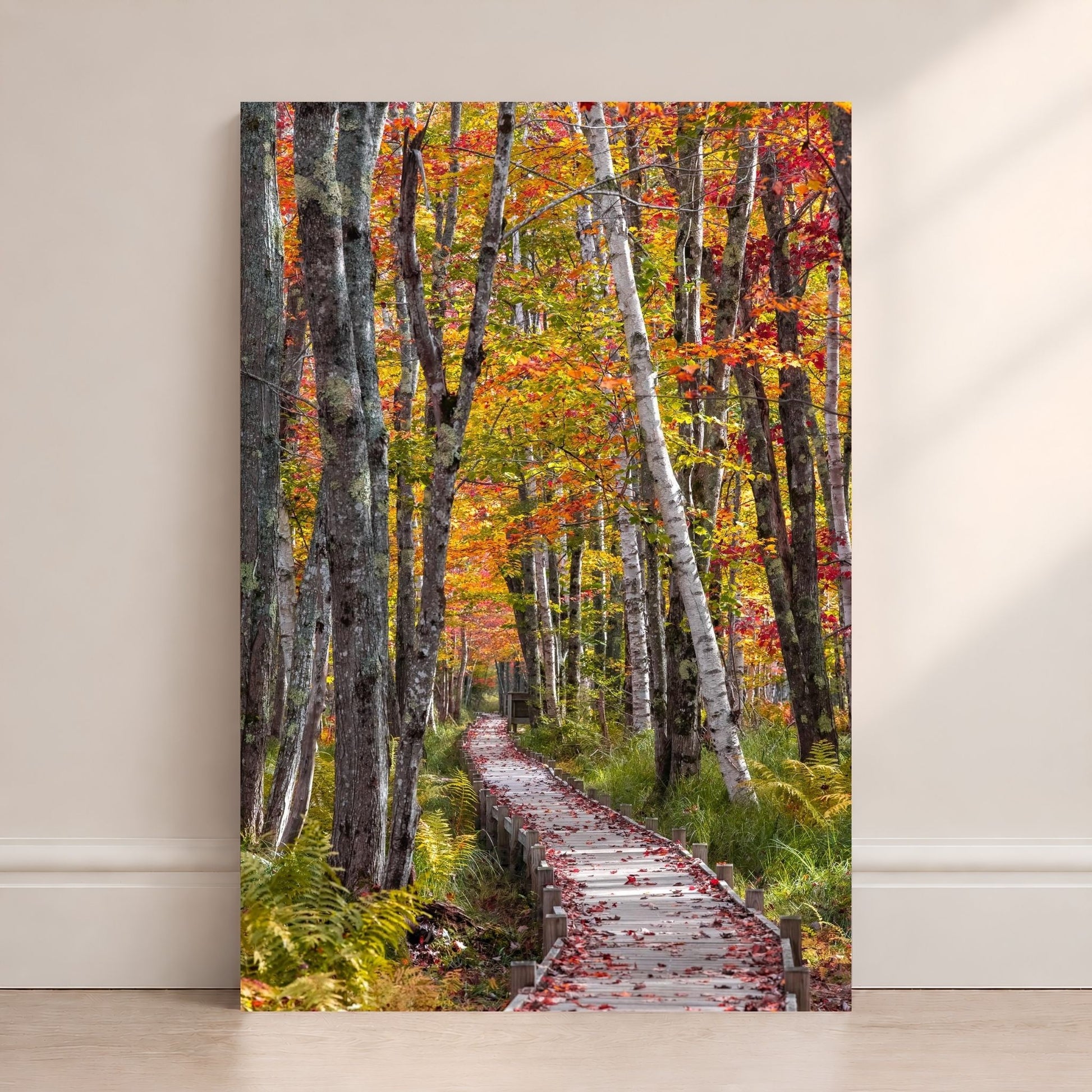 Wooden boardwalk through a colorful autumn forest in Acadia, surrounded by birch trees, ferns, and bright red, orange, and yellow fall leaves