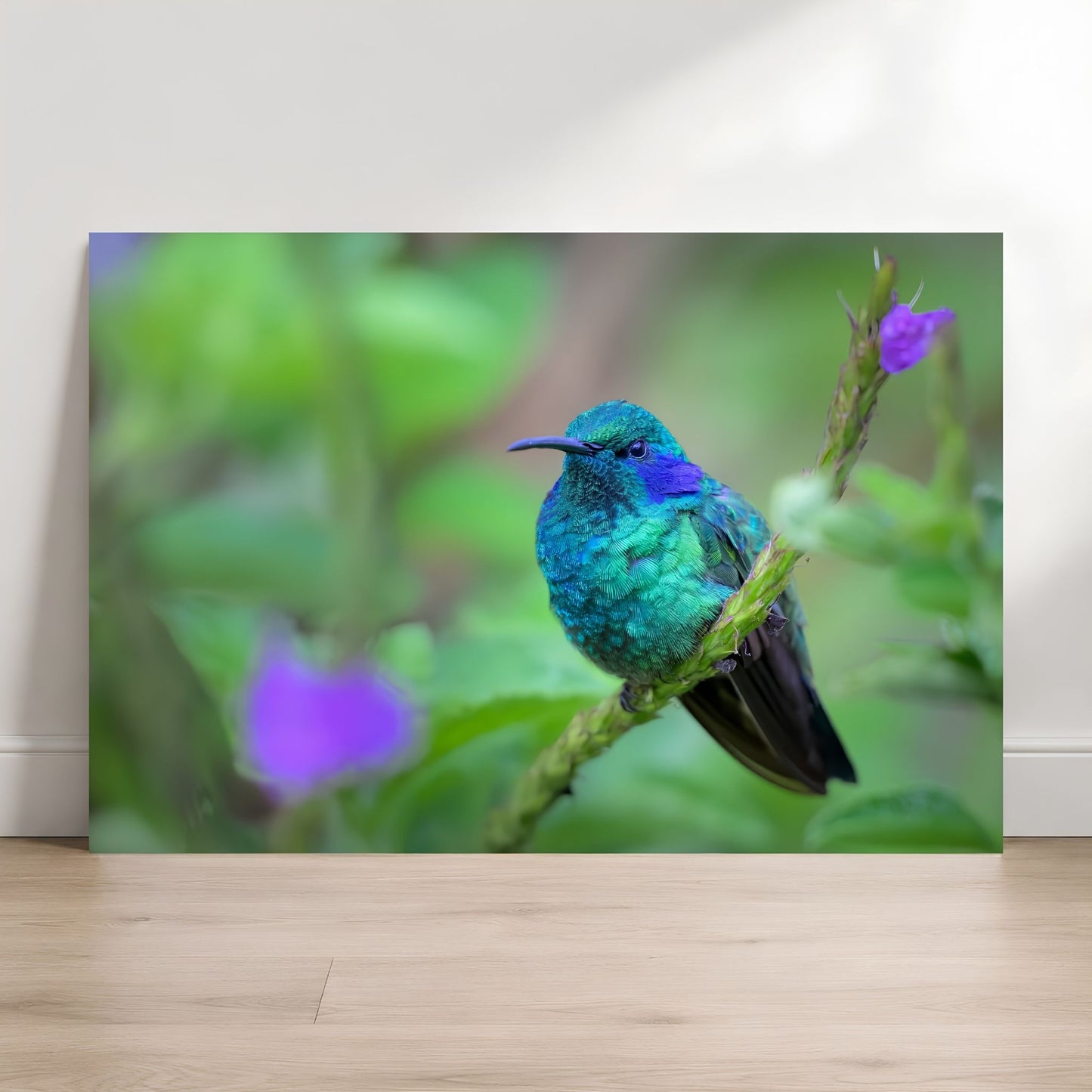 Colorful hummingbird on a branch with a blurred green and purple background