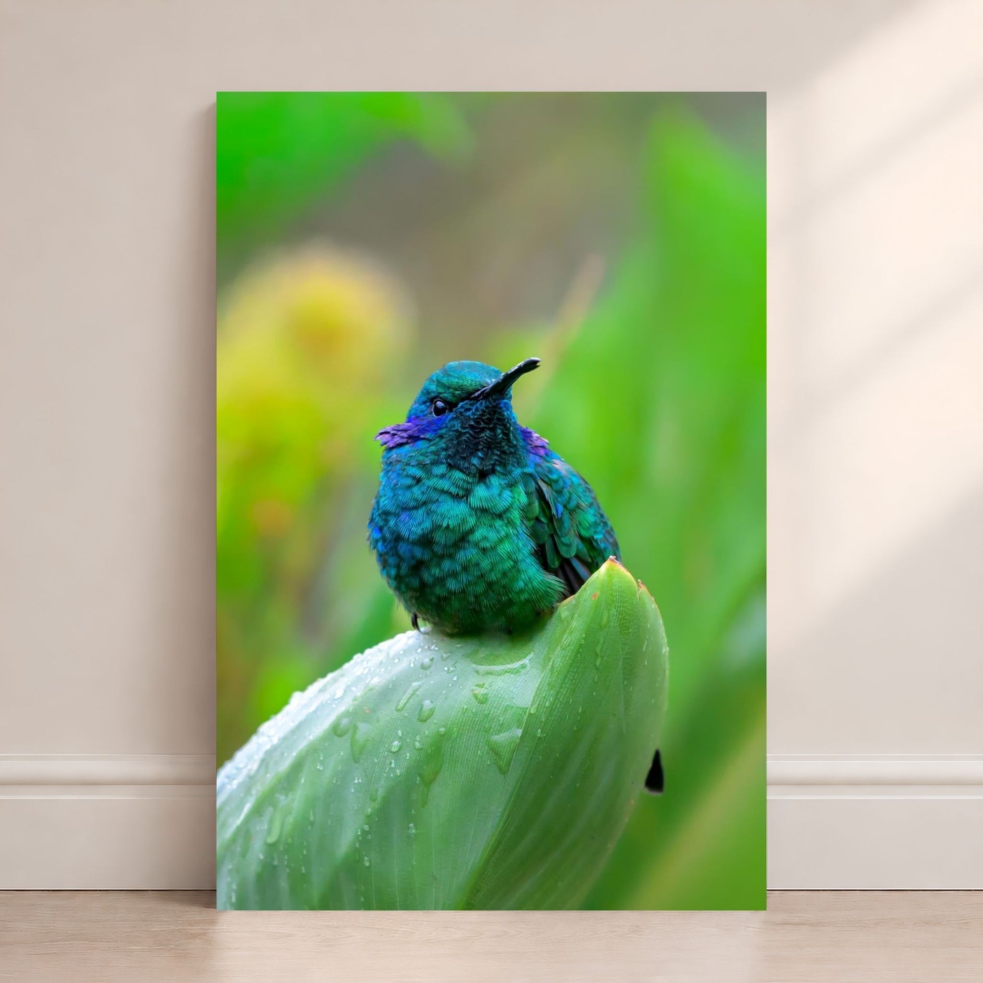 Colorful hummingbird on a green leaf against a blurred natural background