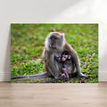 Long-tailed Macaque mother and baby fine art metal photography print leaning against wall, Singapore wildlife wall art by Linda Nee