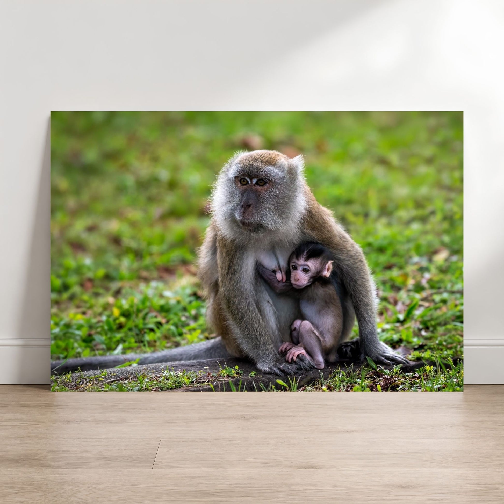 Long-tailed Macaque mother and baby fine art metal photography print leaning against wall, Singapore wildlife wall art by Linda Nee