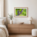 Framed picture of a bird on a branch above a wooden dresser in a bedroom.