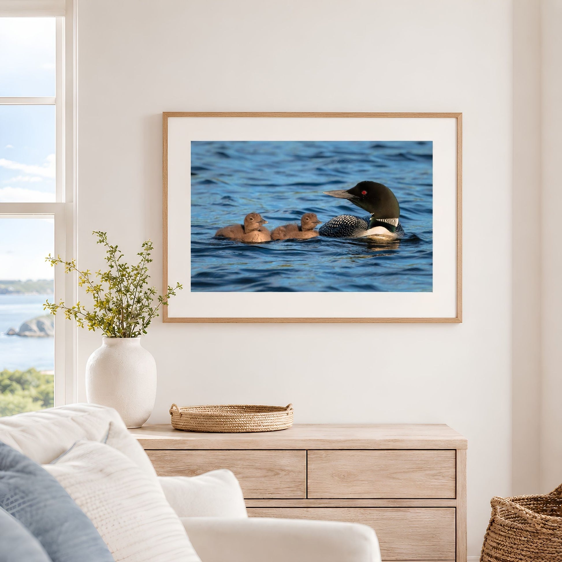 Framed landscape common loon family photography print with two chicks on blue water, displayed in a bright coastal room above a light wood dresser