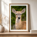 Framed picture of a deer on a wooden shelf with a vase and books in the background.