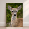 Close-up of a deer's face on a wall-mounted canvas