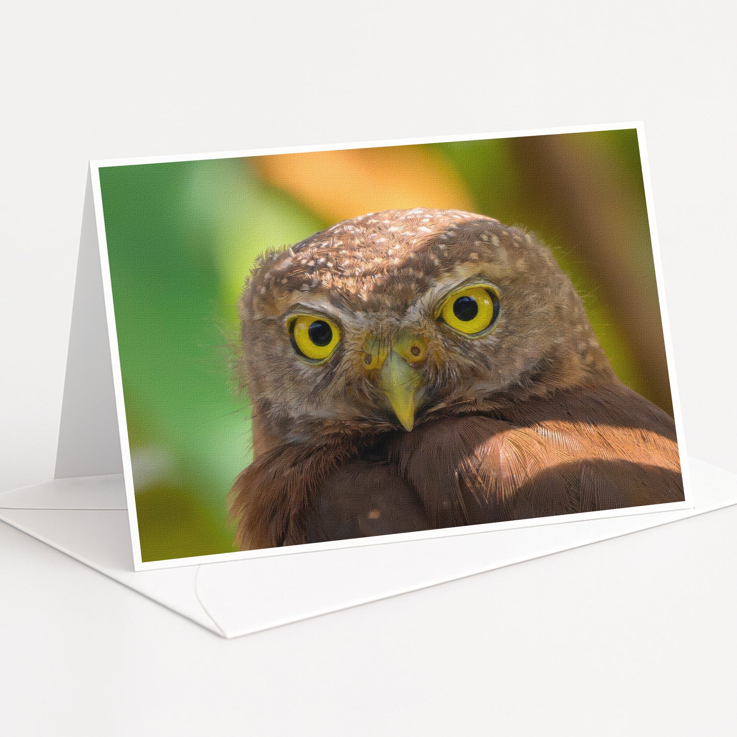 A close-up photograph of a brown owl with yellow eyes, captured in a natural setting with blurred green foliage in the background.