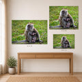 The image is a collage of three photographs depicting a monkey sitting on the ground, with one of the monkeys holding a baby. The photographs are of different sizes, with the largest one being 25 x 20 and the smallest one being 18 x 12.