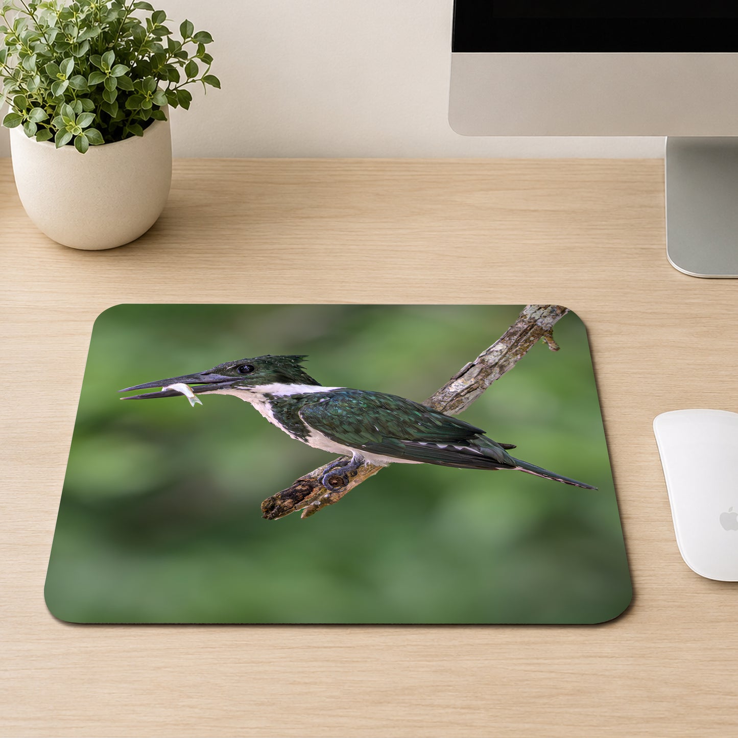 Green kingfisher with a small fish in its bill perched on a mossy branch, printed on a mouse pad