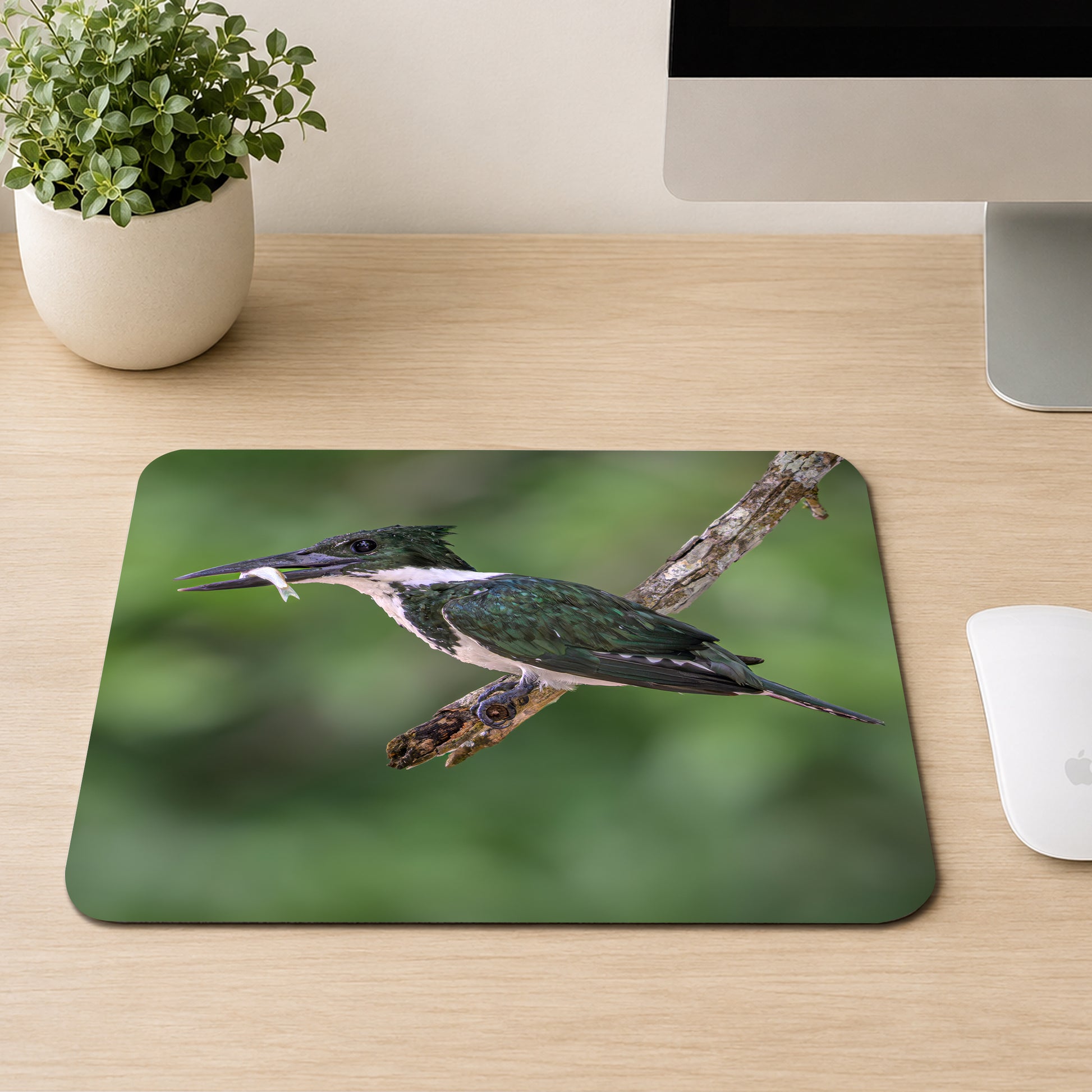 Green kingfisher with a small fish in its bill perched on a mossy branch, printed on a mouse pad