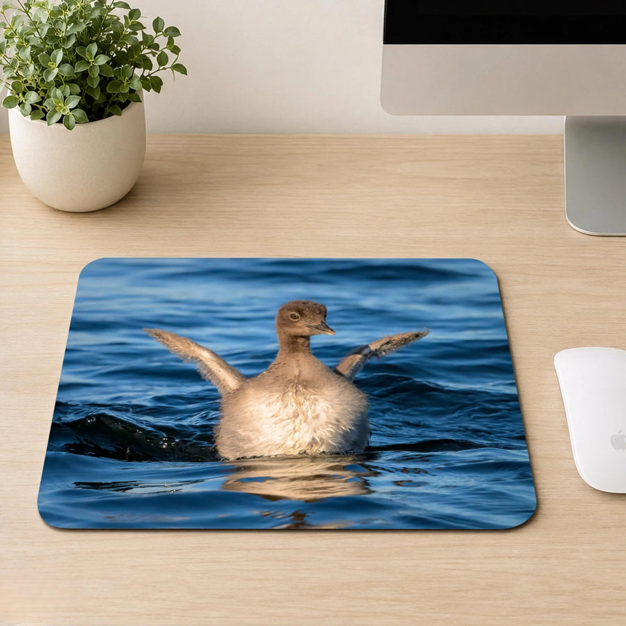 Fuzzy baby Common Loon chick flapping its tiny wings on blue lake water, printed on a mouse pad