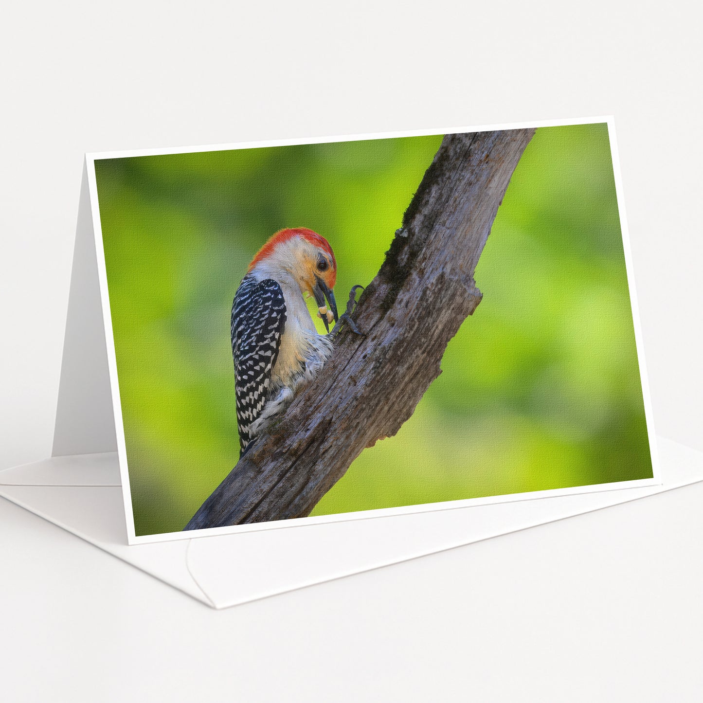 A colorful bird, possibly a woodpecker, perched on a tree branch.