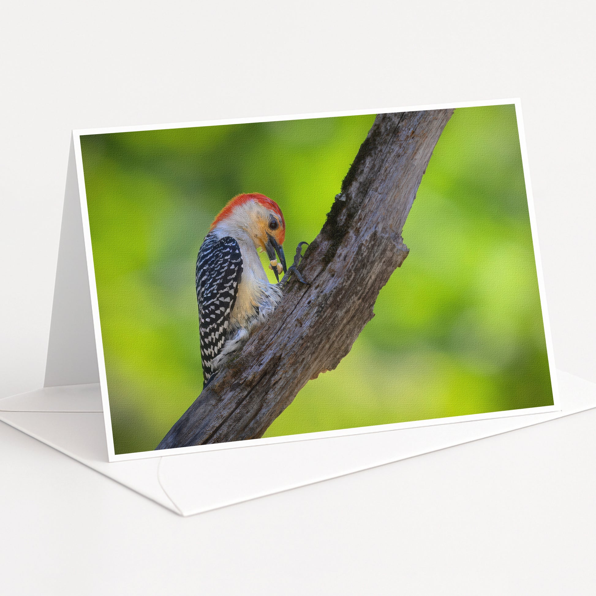 A colorful bird, possibly a woodpecker, perched on a tree branch.